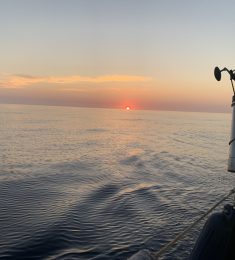 Pina, 62 ans, hétérosexuel, Hommes, Aubagne, Provence-Alpes-Côte d\'Azur, France