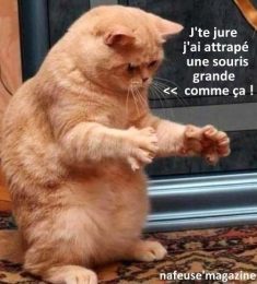 Olivier, 58 ans, hétérosexuel, Hommes, Saint-Nazaire, Pays de la Loire, France