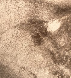 Dou, 24 ans, hétérosexuel, Hommes, Le Mans, Pays de la Loire, France