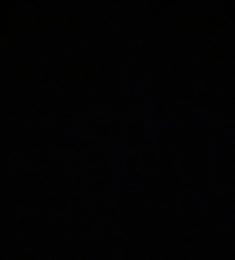 reda, 19 ans, hétérosexuel, Hommes, Perpignan, Languedoc-Roussillon-Midi-Pyrénées, France