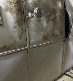 Claudine, 40 ans, hétérosexuel, Femmes, Ajaccio, Corse, France