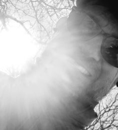 Rec, 53 ans, hétérosexuel, Femmes, Reims, Alsace-Champagne-Ardenne-Lorraine, France