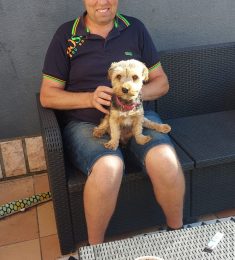 Leclerc, 56 ans, hétérosexuel, Femmes, Tourcoing, Nord-Pas-de-Calais-Picardie, France