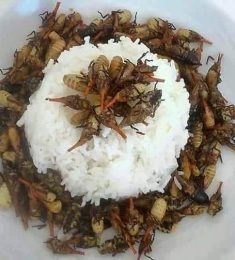 Totto, 37 ans, hétérosexuel, Hommes, Limoges, Aquitaine-Limousin-Poitou-Charentes, France