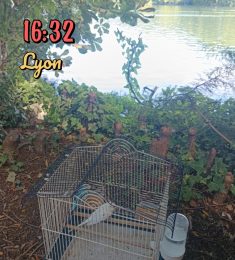 Rezigui, 21 ans, hétérosexuel, Hommes, Osny, Ile-de-France, France