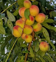 Serge, 30 ans, hétérosexuel, Hommes, Saint-Michel-sur-Orge, Ile-de-France, France