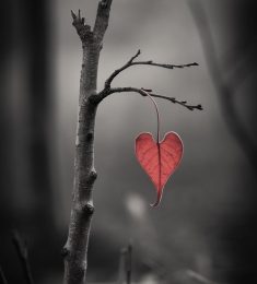 Léna jlabert, 45 ans, hétérosexuel, Femmes, Libourne, Aquitaine-Limousin-Poitou-Charentes, France