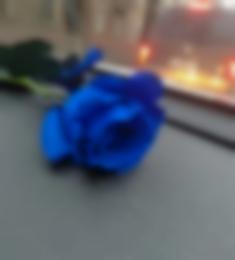 Jocelyne, 51 ans, hétérosexuel, Femmes, Bayeux, Normandie, France