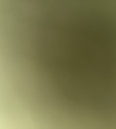 Kevin, 31 ans, hétérosexuel, Hommes, Saint-Die-des-Vosges, Alsace-Champagne-Ardenne-Lorraine, France