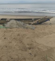 ROLLOT, 64 ans, hétérosexuel, Hommes, Niort, Aquitaine-Limousin-Poitou-Charentes, France