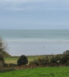 Charle, 34 ans, bisexuel, Hommes, Nantes, Pays de la Loire, France