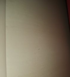 Skrzelezyk, 32 ans, hétérosexuel, Hommes, Périgueux, Aquitaine-Limousin-Poitou-Charentes, France