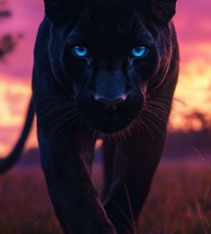 Polo, 25 ans, hétérosexuel, Hommes, Rouen, Normandie, France