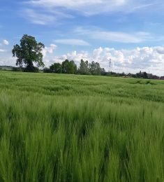seb, 51 ans, hétérosexuel, Hommes, Armentieres, Nord-Pas-de-Calais-Picardie, France