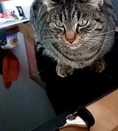 Marie, 25 ans, Lesbienne / Gay, Femmes, Béziers, Languedoc-Roussillon-Midi-Pyrénées, France