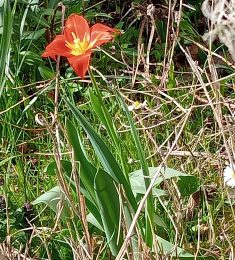 Vincent, 20 ans, hétérosexuel, Hommes, Challans, Pays de la Loire, France