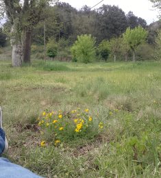 Butch, 34 ans, hétérosexuel, Hommes, Perpignan, Languedoc-Roussillon-Midi-Pyrénées, France