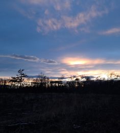 Gilou, 36 ans, hétérosexuel, Hommes, Dax, Aquitaine-Limousin-Poitou-Charentes, France