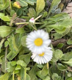 Julien, 54 ans, hétérosexuel, Hommes, Nimes, Languedoc-Roussillon-Midi-Pyrénées, France