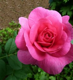 Floo, 30 ans, hétérosexuel, Femmes, Sokode, Centrale, Togo