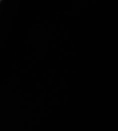 Lolo, 40 ans, hétérosexuel, Hommes, Saumur, Pays de la Loire, France