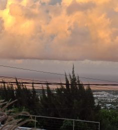 Mio97419, 52 ans, hétérosexuel, Hommes, La Possession, Réunion, Réunion