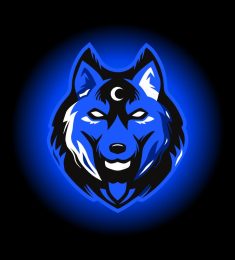 Alex, 43 ans, hétérosexuel, Femmes, Vesoul, Bourgogne-Franche-Comté, France