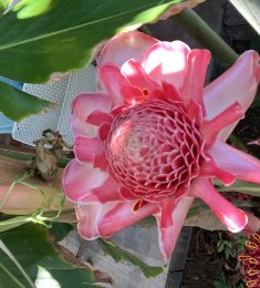 Jeremie, 43 ans, hétérosexuel, Hommes, Vienne, Auvergne-Rhône-Alpes, France