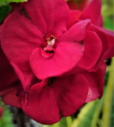 Bertrand, 22 ans, hétérosexuel, Hommes, Saint-Joseph, Réunion, Réunion