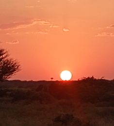 middoo, 40 ans, hétérosexuel, Hommes, Bordeaux, Aquitaine-Limousin-Poitou-Charentes, France