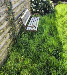 Resu56, 34 ans, hétérosexuel, Hommes, Lorient, Bretagne, France