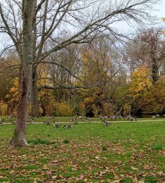 Oceanne, 33 ans, hétérosexuel, Femmes, Paris, Ile-de-France, France