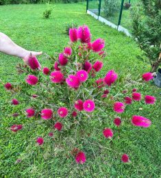 Greg, 40 ans, hétérosexuel, Hommes, Bordeaux, Aquitaine-Limousin-Poitou-Charentes, France