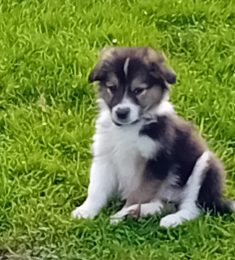 Minidou, 44 ans, hétérosexuel, Hommes, Caen, Normandie, France