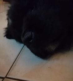 Maël, 18 ans, hétérosexuel, Hommes