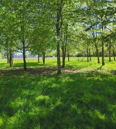 Darnes, 41 ans, hétérosexuel, Hommes, Montereau-Fault-Yonne, Ile-de-France, France