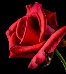 Man, 46 ans, hétérosexuel, Femmes, Chalon-sur-Saône, Bourgogne-Franche-Comté, France