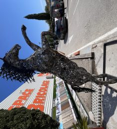 Pat, 56 ans, bisexuel, Hommes, Macon, Bourgogne-Franche-Comté, France