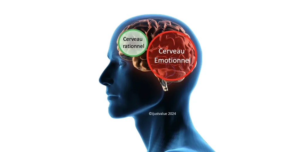 Illustration du cerveau analysant une relation atypique et émotionnellement instable