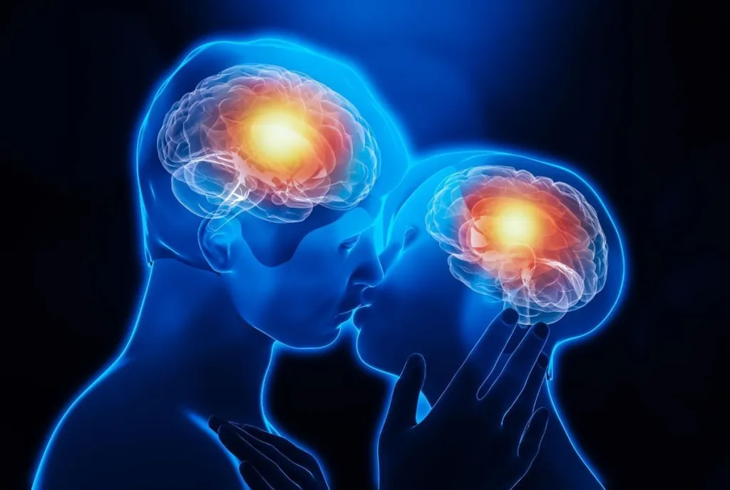 Peut-on aimer son partenaire et désirer quelqu’un d’autre ? 4 Représentation du cerveau et des connexions liées au désir et à l’attirance